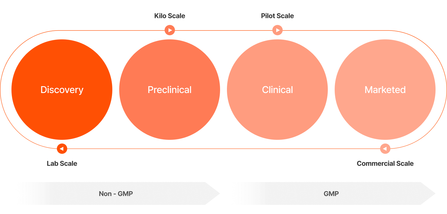 Fully Integrated APIs <br class='mo'/>CDMO & CMO Service <br class='mo'/>(Lab - pilot - commercial)